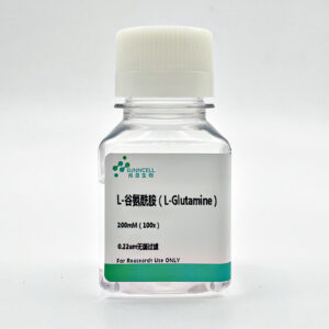 L-谷氨酰胺（L-Glutamine）