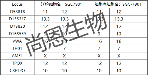 SGC7901(人胃癌细胞)(暂不出售)STR分型结果及匹配其细胞库信息