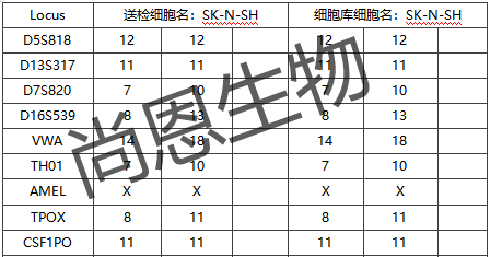 SK-N-SH(人神经母细胞瘤细胞)STR分型结果及匹配其细胞库信息