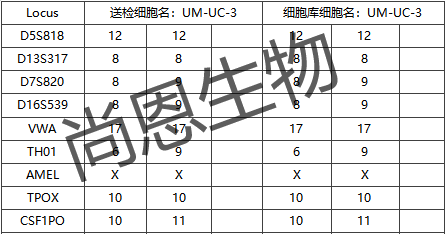 UM-UC-3(人膀胱移行细胞癌)STR分型结果及匹配其细胞库信息